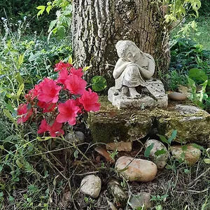 Le Clos De La Salamandre Guest house